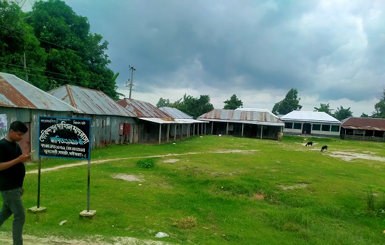 image-here